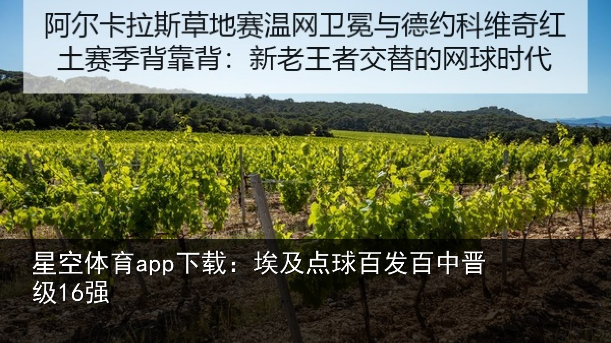 星空体育app下载:埃及点球百发百中晋级16强