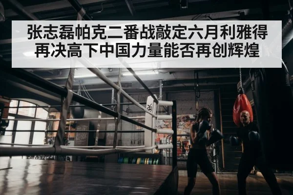 boxer training
