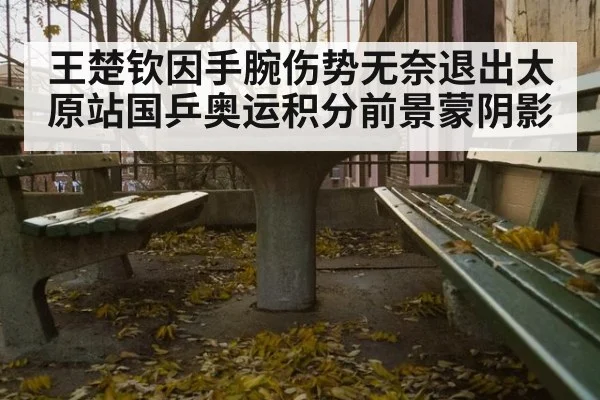 王楚钦因手腕伤势无奈退出太原站国乒奥运积分前景蒙阴影